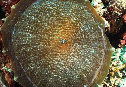 P5080050