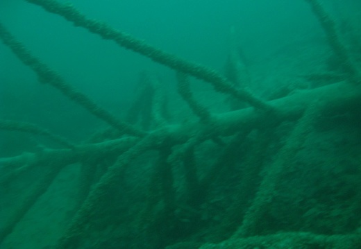 Photo 296