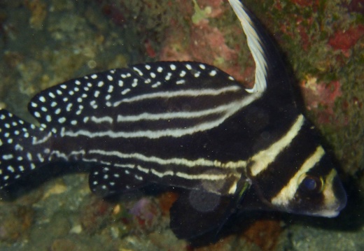 P3160065