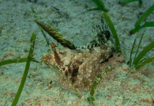 P3210084